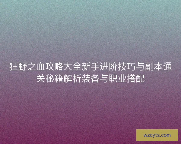 狂野之血攻略大全新手进阶技巧与副本通关秘籍解析装备与职业搭配