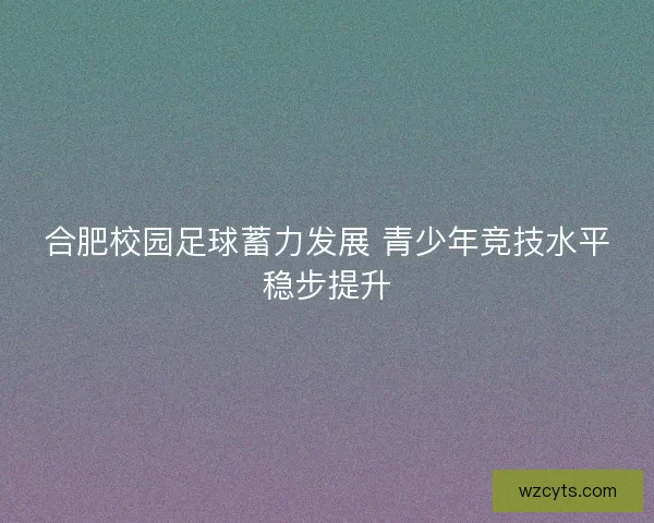 合肥校园足球蓄力发展 青少年竞技水平稳步提升