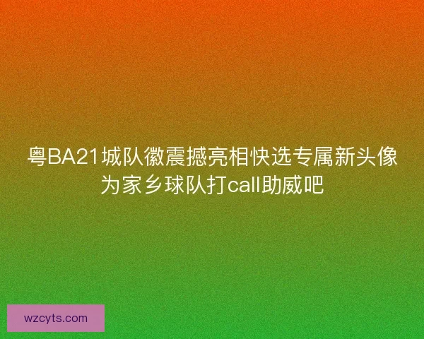 粤BA21城队徽震撼亮相快选专属新头像为家乡球队打call助威吧